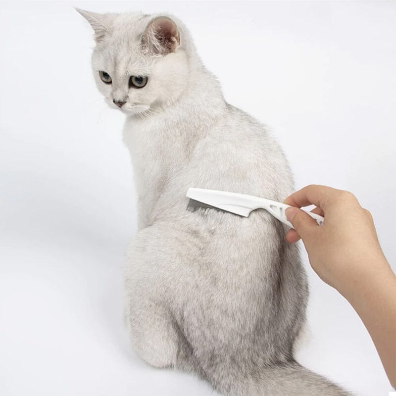 Pente Multifuncional para Animais – Higiene, Saúde e Conforto numa única ferramenta!