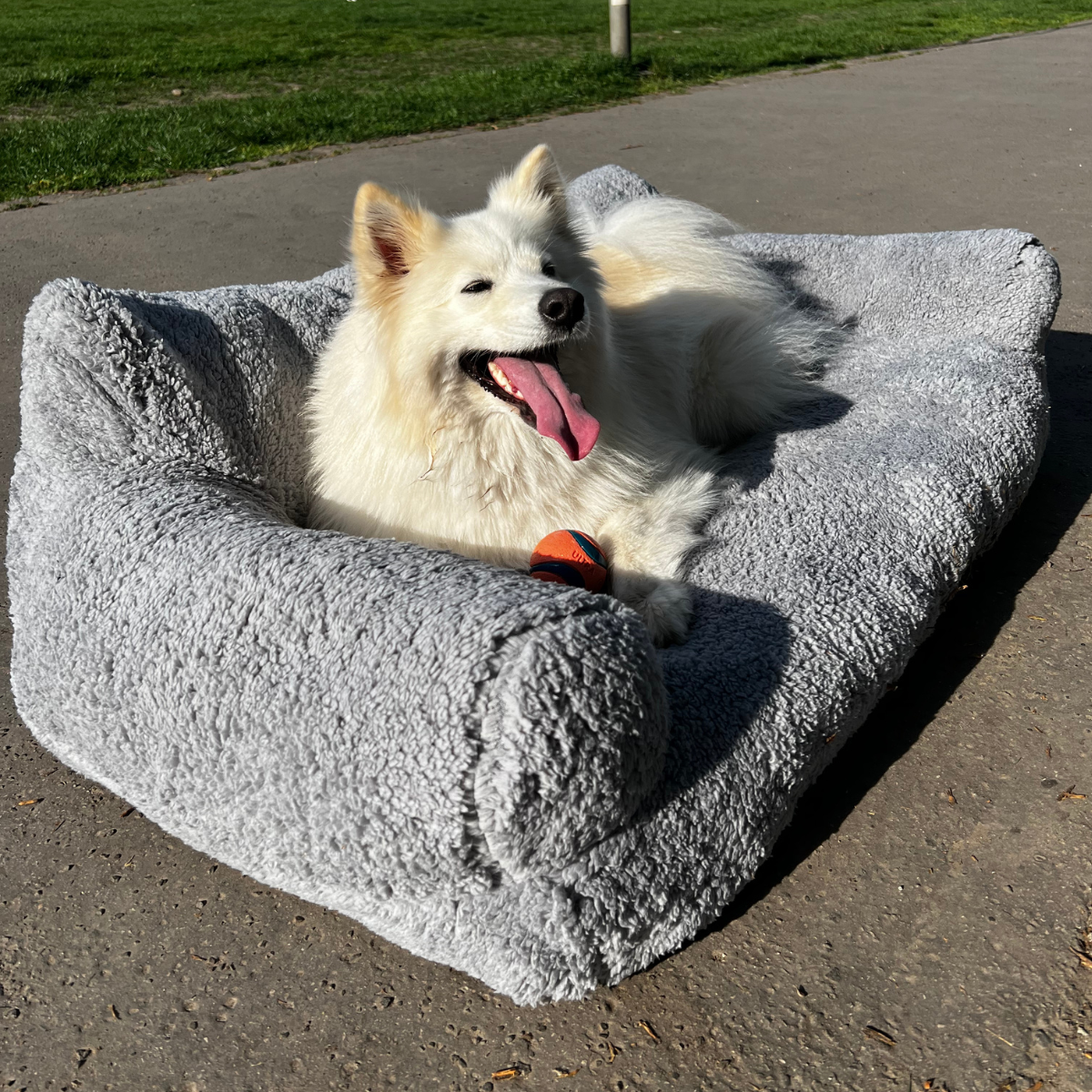 Sofá relaxante para animais - Conforto e serenidade garantidos