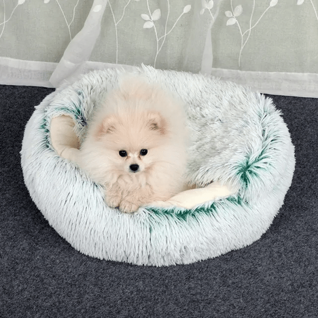 Cama para animais de estimação: Conforto e Serenidade