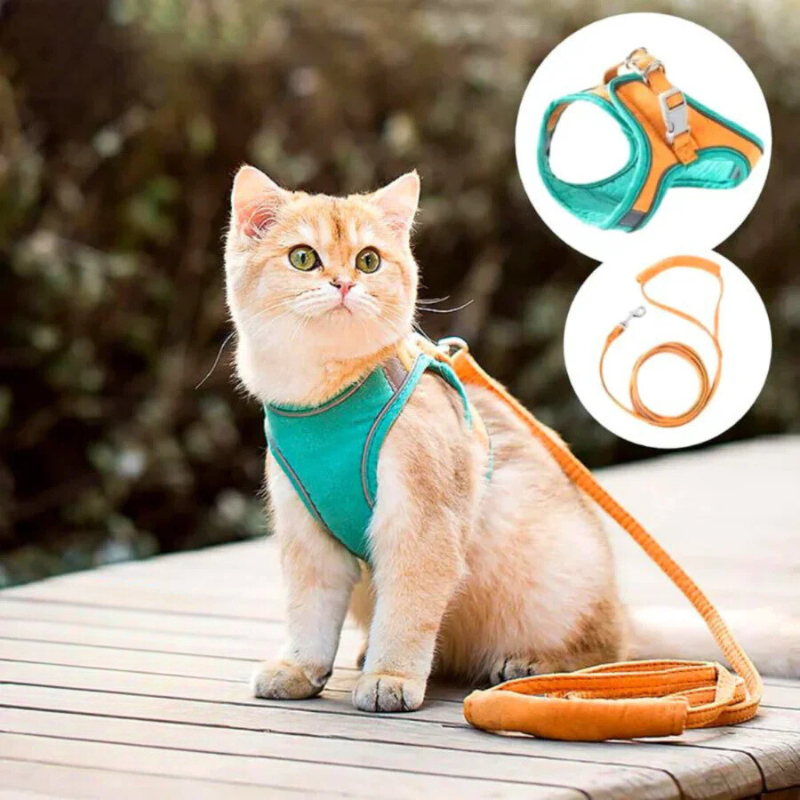 Arnés para gato confortável e seguro - Ideal para passeios