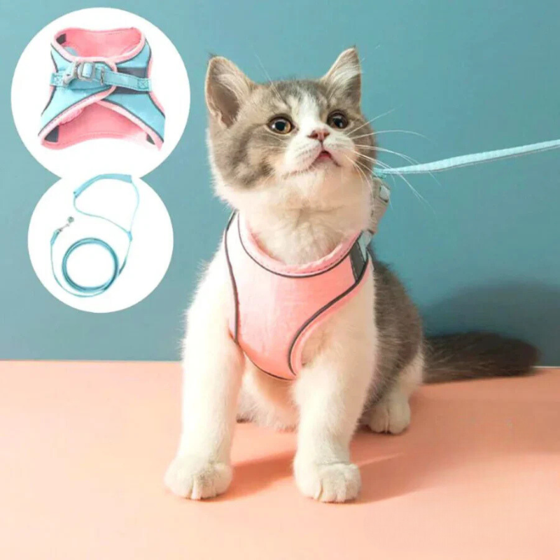 Arnés para gato confortável e seguro - Ideal para passeios