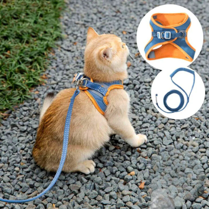 Arnés para gato confortável e seguro - Ideal para passeios