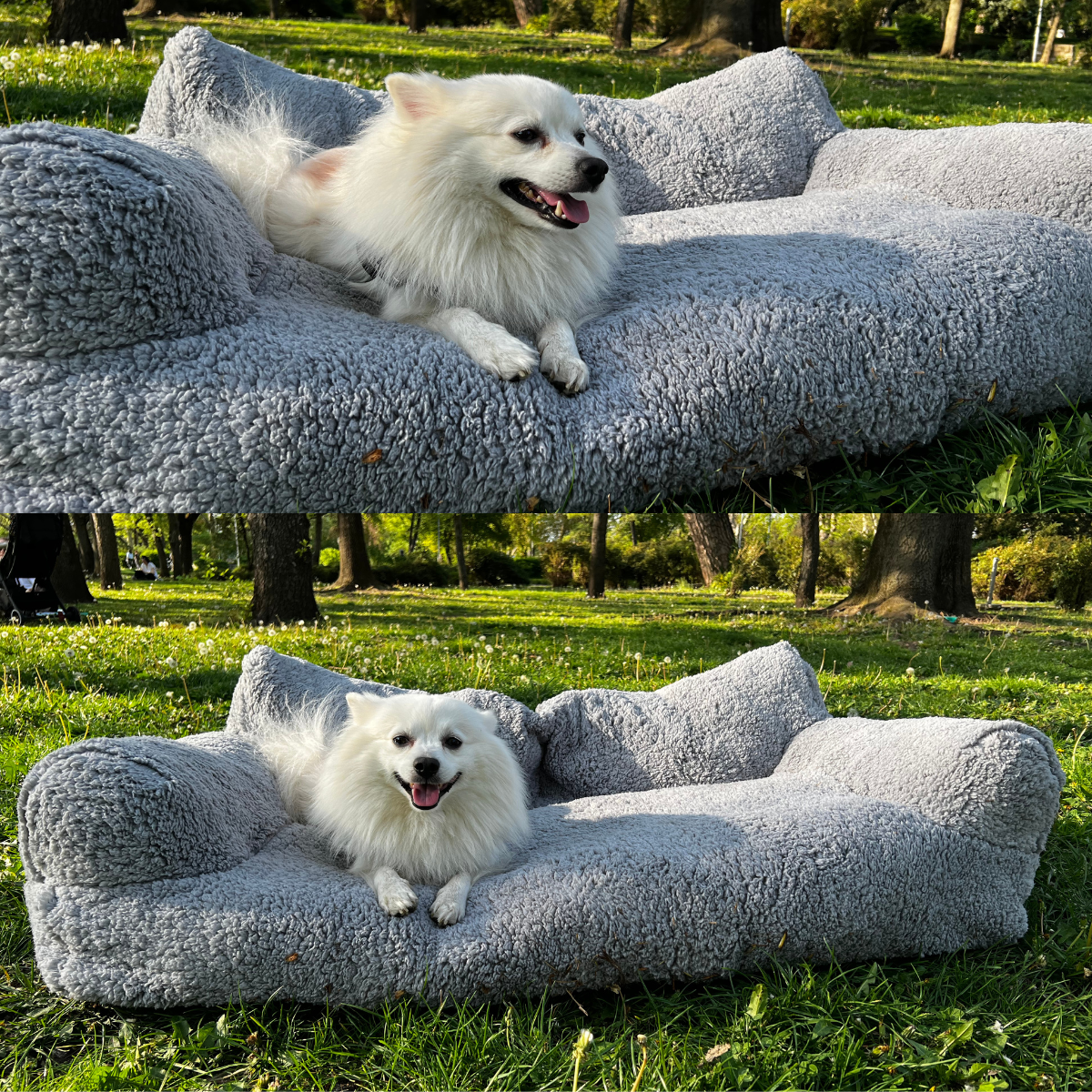 Sofá relaxante para animais - Conforto e serenidade garantidos