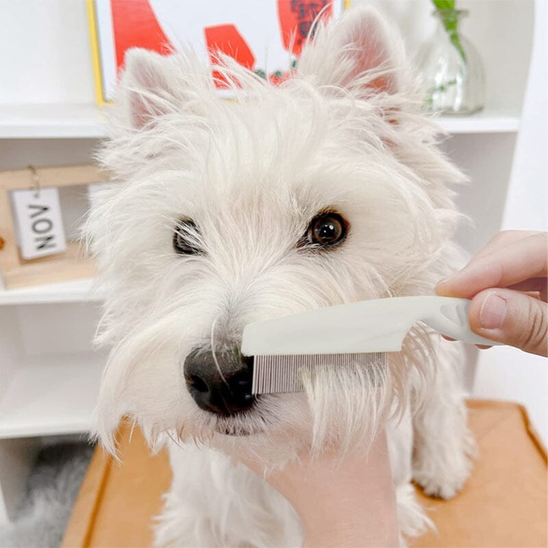 Pente Multifuncional para Animais – Higiene, Saúde e Conforto numa única ferramenta!