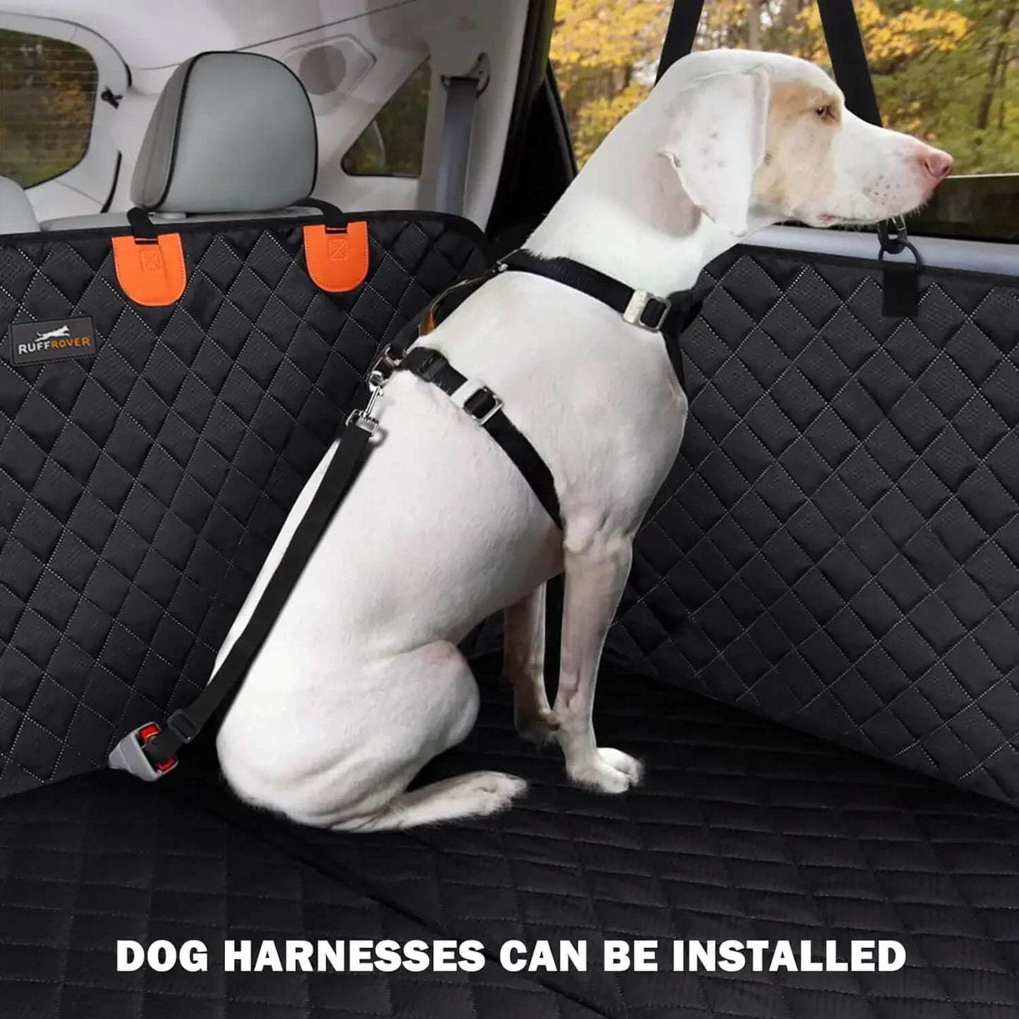Cadeira de Auto para Cão: Segurança e Proteção Otimais