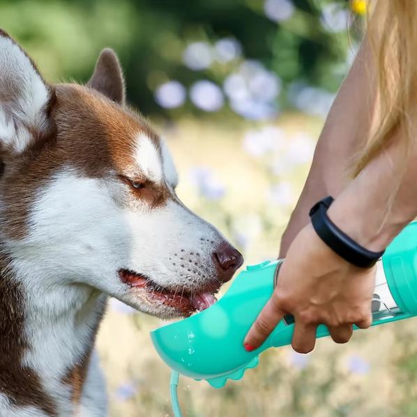 Garrafão 4-em-1 para hidratar e nutrir o seu cão