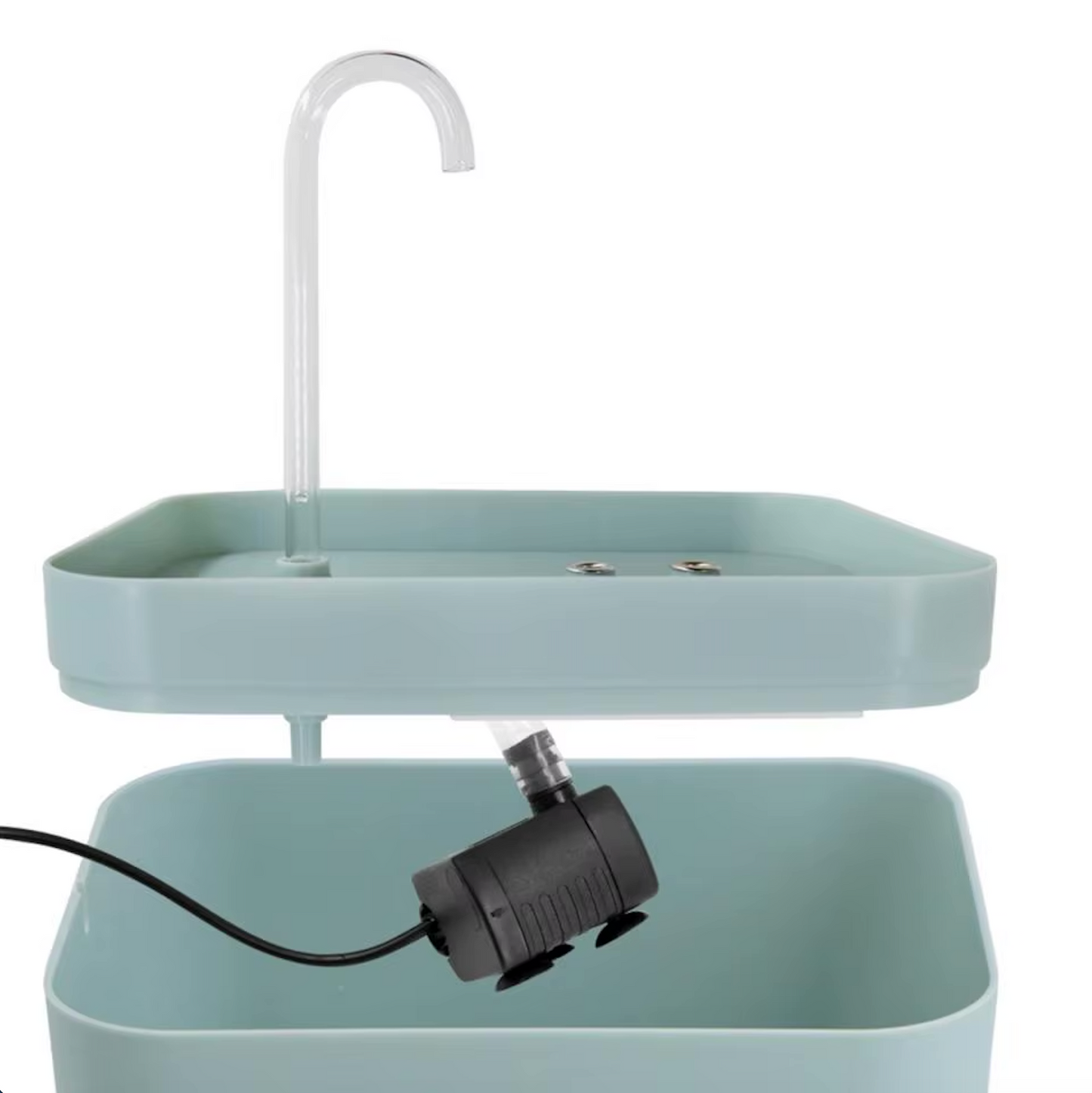 Fonte de água para uma hidratação óptima do seu gato