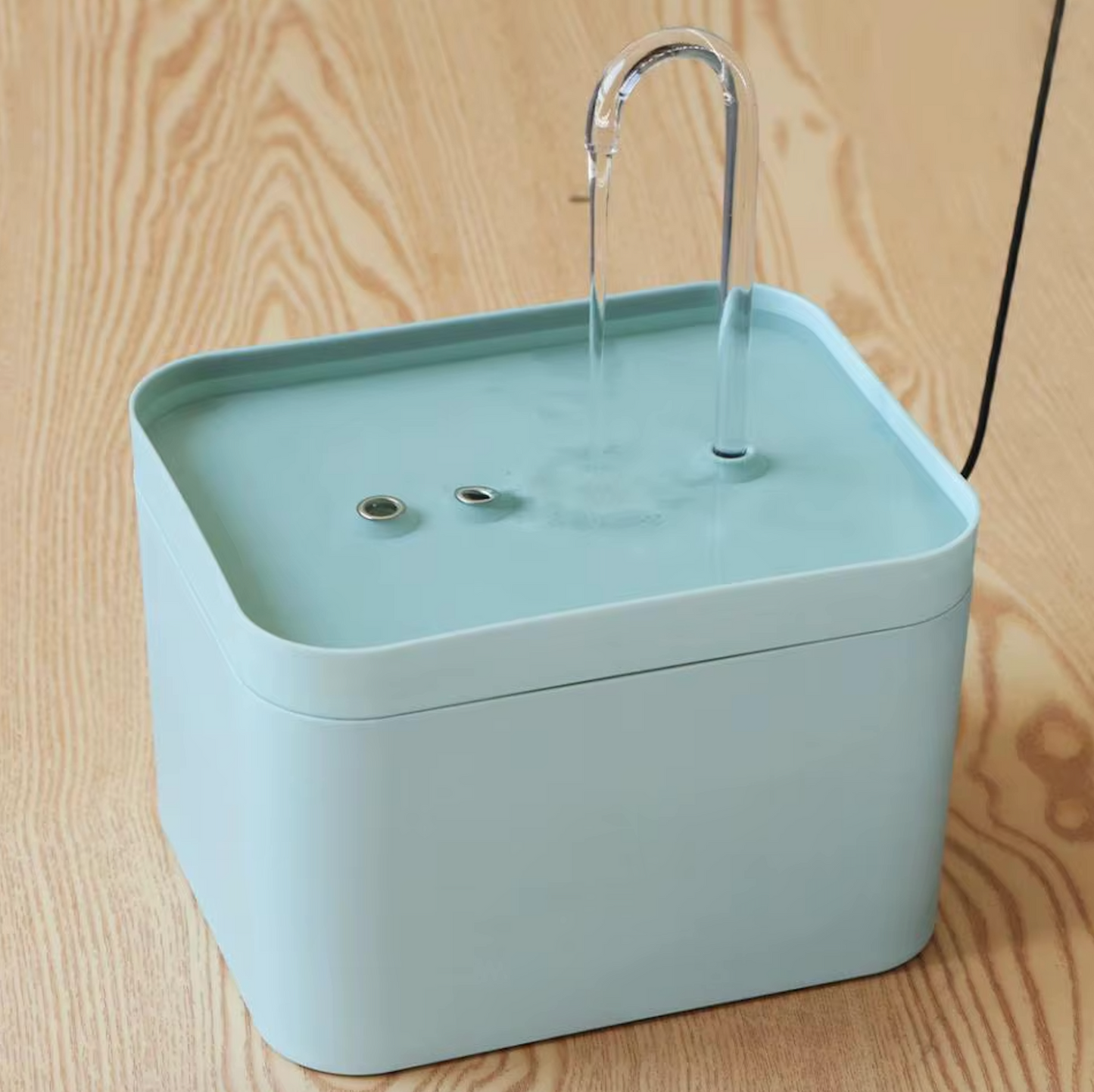 Fonte de água para uma hidratação óptima do seu gato