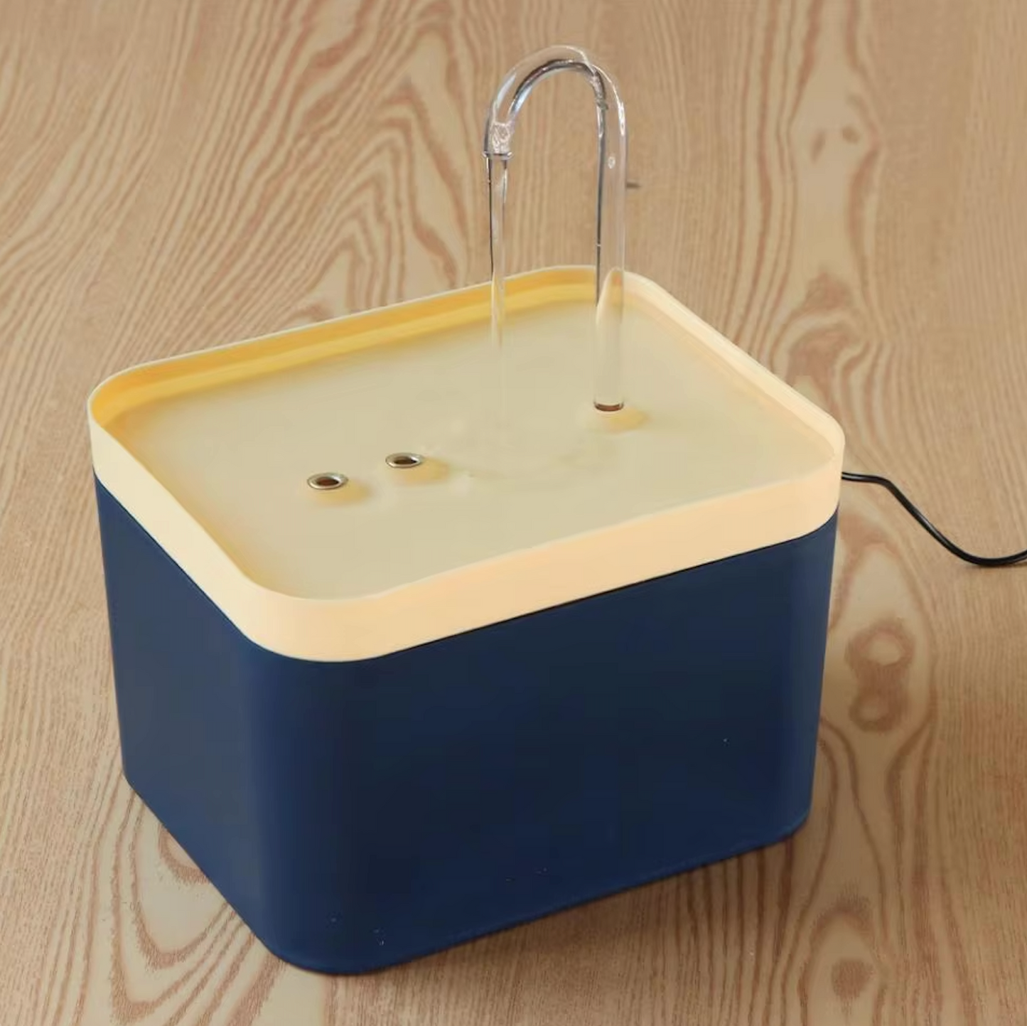 Fonte de água para uma hidratação óptima do seu gato