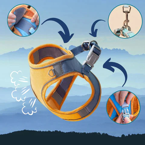 Arnés para gato confortável e seguro - Ideal para passeios