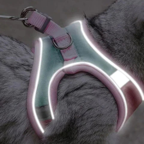 Arnés para gato confortável e seguro - Ideal para passeios