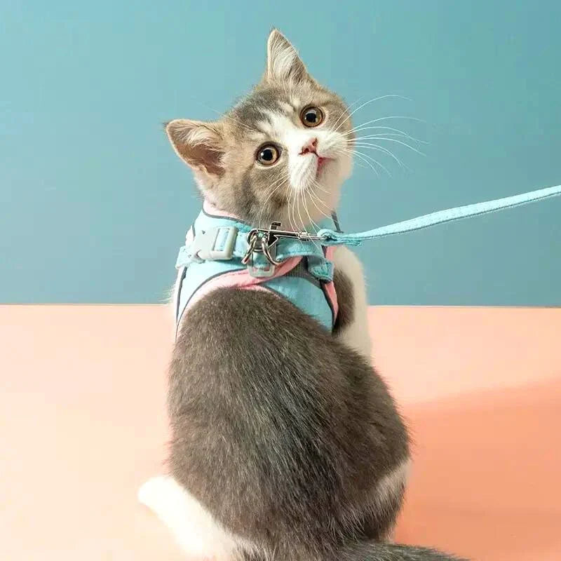 Arnés para gato confortável e seguro - Ideal para passeios
