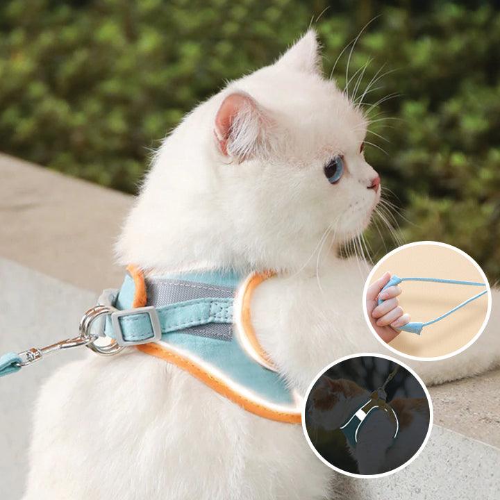 Arnés para gato confortável e seguro - Ideal para passeios