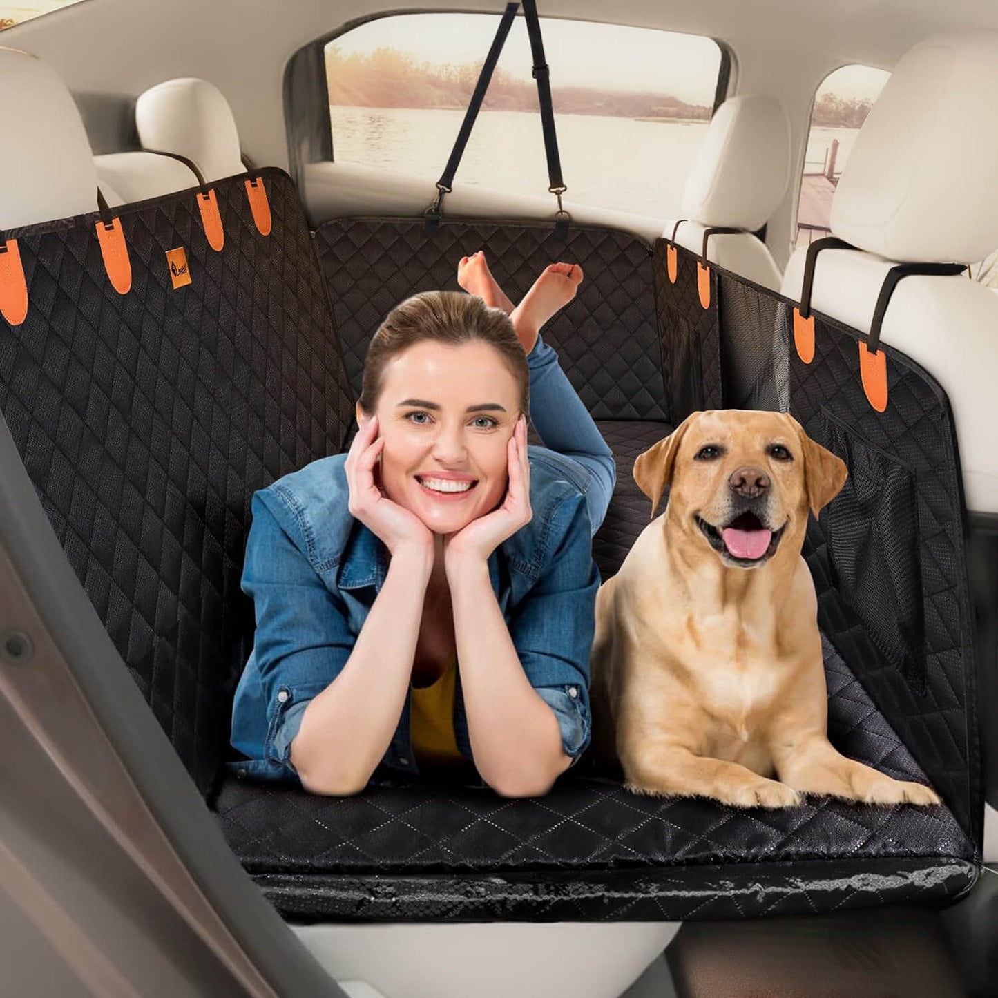 Cadeira de Auto para Cão: Segurança e Proteção Otimais