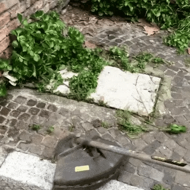 O corte indestrutível