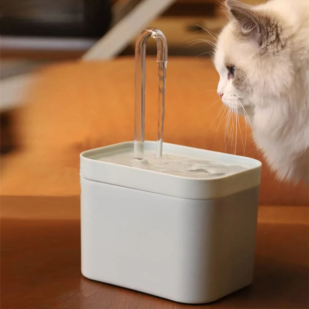 Fonte de água para uma hidratação óptima do seu gato