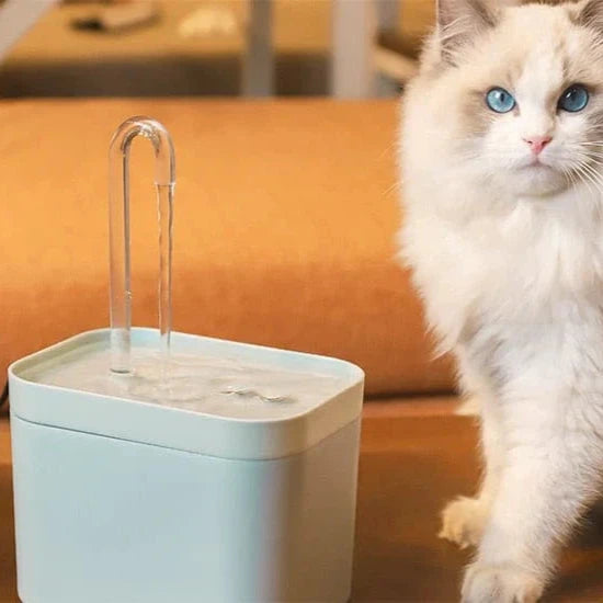 Fonte de água para uma hidratação óptima do seu gato