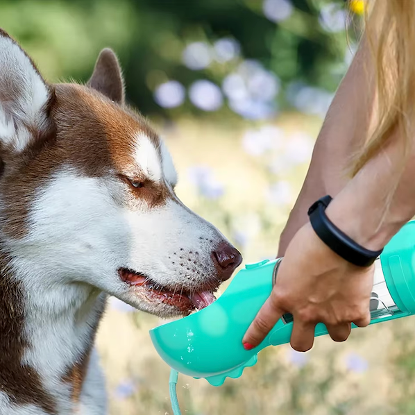 Bottiglia 4-in-1 per idratare e nutrire il tuo cane 