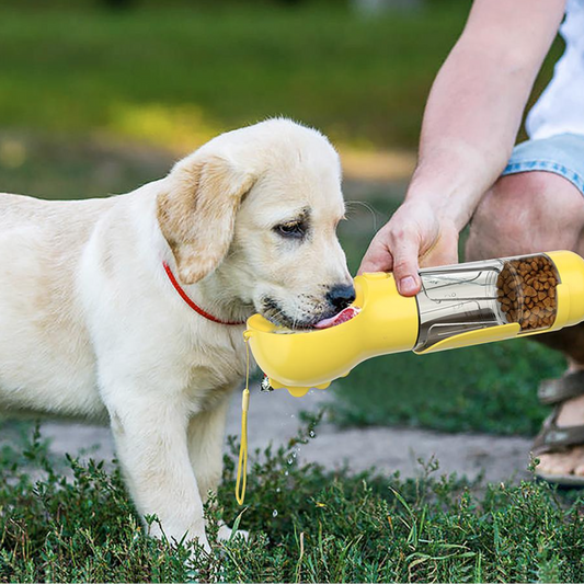 Bottiglia 4-in-1 per idratare e nutrire il tuo cane 